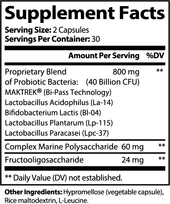 N°03 — The Daily Synbiotic